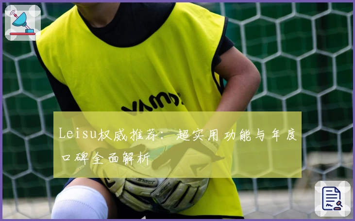 Leisu权威推荐：超实用功能与年度口碑全面解析